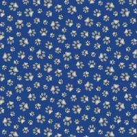 es181 Deep Blue
